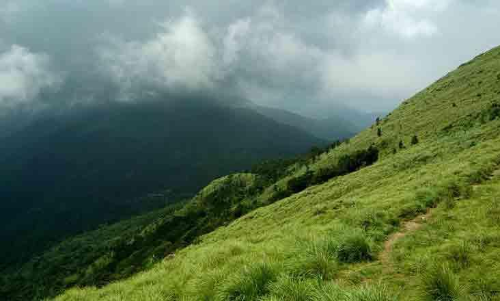 ഇ.ഐ.എ: അഭിപ്രായമറിയിക്കാനുള്ള അവസാന ദിനം ഇന്ന്, പ്രതിഷേധം ശക്തം