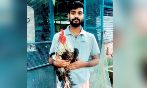 പ്ര​തി​സ​ന്ധി​യി​ൽ ത​ള​രാ​തെ കോ​ഴി​വ​ള​ര്‍ത്ത​ലു​മാ​യി ജാ​ബി​ർ