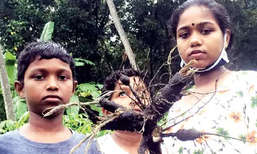 ഞങ്ങൾടെത് റെഡ്യായ്...; പക്ഷേ, മഴകൊണ്ടോയ്...