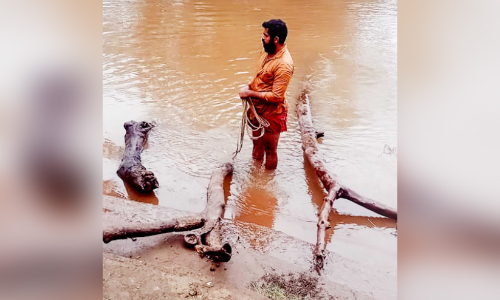 മലവെള്ളപ്പാച്ചിലിൽ ആലുവ​യിലേക്ക്​ മരമൊഴുക്ക്