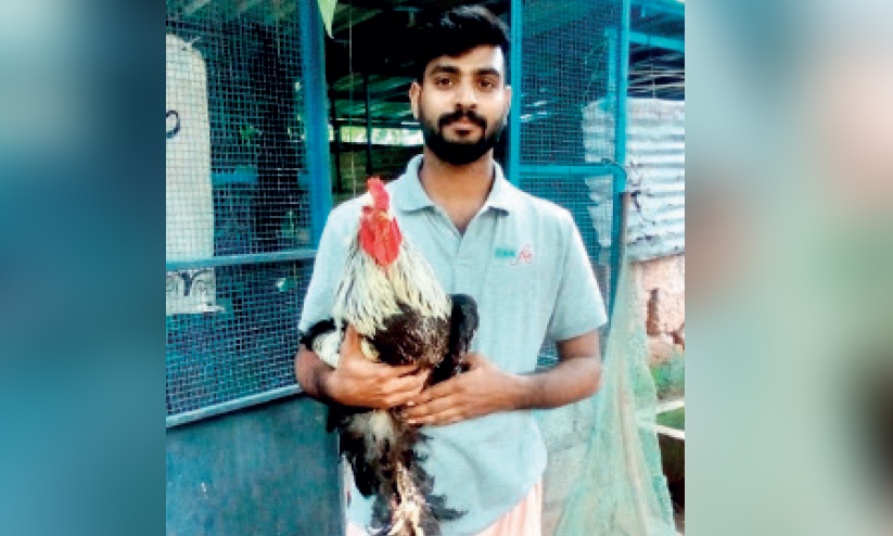 പ്രതിസന്ധിയിൽ തളരാതെ കോഴിവളര്ത്തലുമായി ജാബിർ പ്രതിസന്ധിയിൽ തളരാതെ കോഴിവളര്ത്തലുമായി ജാബിർ