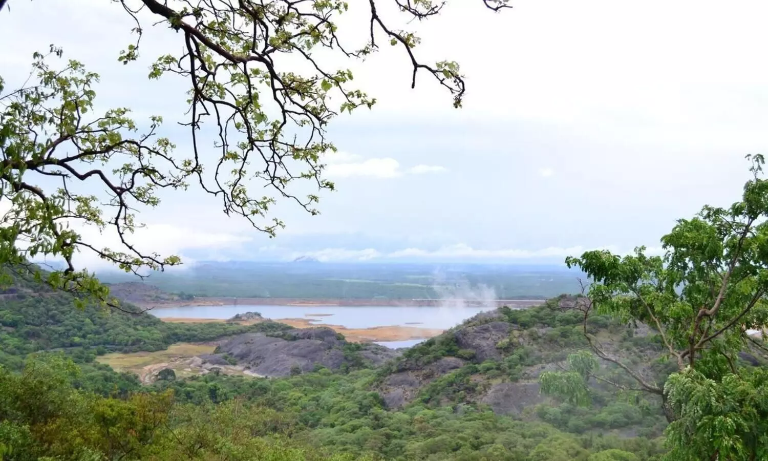 കാട്ടിലൂടെ ഒരു മണ്‍സൂണ്‍ സാഹസികയാത്ര