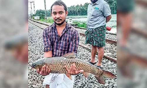 ഉൾനാടൻ മീൻപിടിത്തക്കാർക്ക് ഉത്സവ പ്രതീതി