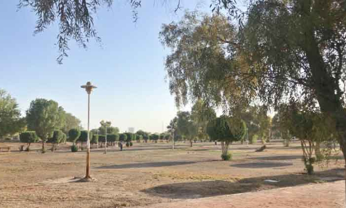 പ​രി​ച​ര​ണം ല​ഭി​ക്കാ​തെ പാ​ർ​ക്കു​ക​ൾ വ​ര​ണ്ടു​ണ​ങ്ങു​ന്നു