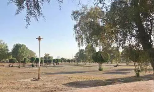 പ​രി​ച​ര​ണം ല​ഭി​ക്കാ​തെ പാ​ർ​ക്കു​ക​ൾ വ​ര​ണ്ടു​ണ​ങ്ങു​ന്നു