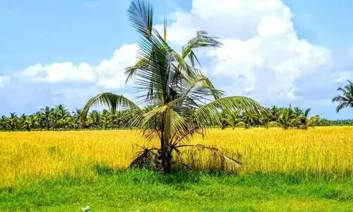 പരിസ്ഥിതി ആഘാത പഠനം: നഷ്ടപ്പെടുന്നത് കണ്ടങ്കാളി സമരത്തിന് ഊർജം നൽകിയ നിയമം പരിസ്ഥിതി ആഘാത പഠനം: നഷ്ടപ്പെടുന്നത് കണ്ടങ്കാളി സമരത്തിന് ഊർജം നൽകിയ നിയമം