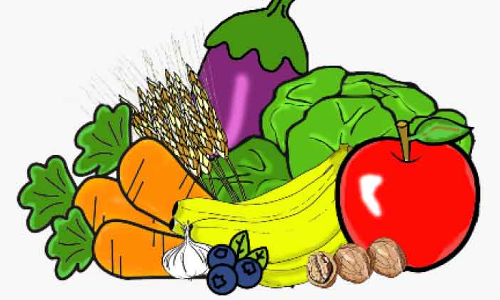 ശൈത്യകാല പച്ചക്കറി കൃഷിക്ക്️ തയാറെടു️ത്ത്️ ഫാമു️കൾ