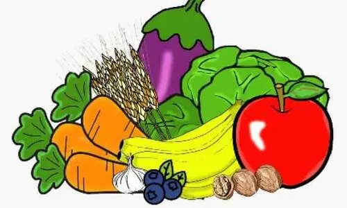 ശൈത്യകാല പച്ചക്കറി കൃഷിക്ക്️ തയാറെടു️ത്ത്️ ഫാമു️കൾ