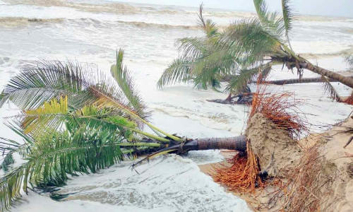 കായൽ മണലൂറ്റ്​; വലിയപറമ്പ തീരം കടൽ കവരുന്നു