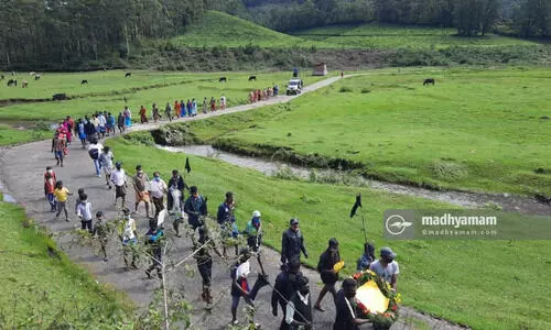 പെട്ടിമുടി