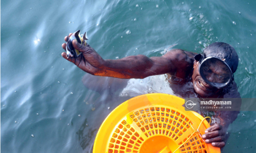 അതിജീവനത്തിലേക്ക്​ തുഴയെറിയാൻ