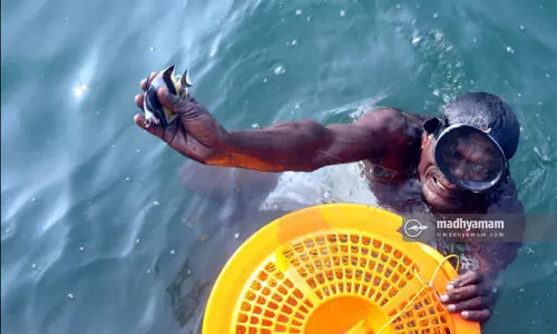 അതിജീവനത്തിലേക്ക്​ തുഴയെറിയാൻ