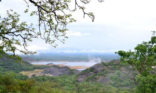 കാട്ടിലൂടെ ഒരു മണ്സൂണ് സാഹസികയാത്ര കാട്ടിലൂടെ ഒരു മണ്സൂണ് സാഹസികയാത്ര