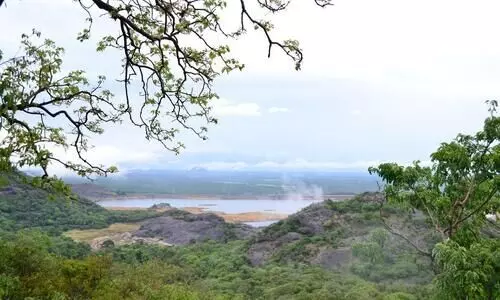 കാട്ടിലൂടെ ഒരു മണ്‍സൂണ്‍ സാഹസികയാത്ര