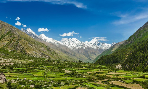 മ​മ്മി​യെ തേ​ടി ഇ​ന്ത്യ​യി​ലെ അ​വ​സാ​ന ഗ്രാ​മ​ത്തി​ലൂ​ടെ