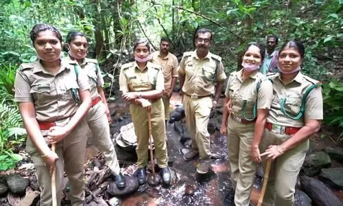 പുന്നല മാതൃകാ ഫോറസ്റ്റ് സ്റ്റേഷനിലെ ബി.എഫ്.ഒമാർ