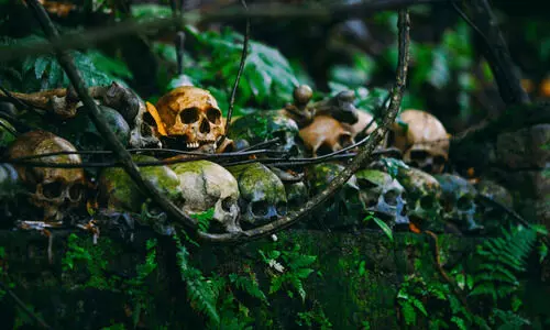 മ​ന്ത്ര​വാ​ദി​ക​ളു​ടെ നാ​ട്ടി​ല്‍