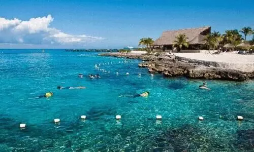 കടലിനടിയിലെ അത്ഭുത ലോകത്ത് കടലിനടിയിലെ അത്ഭുത ലോകത്ത്