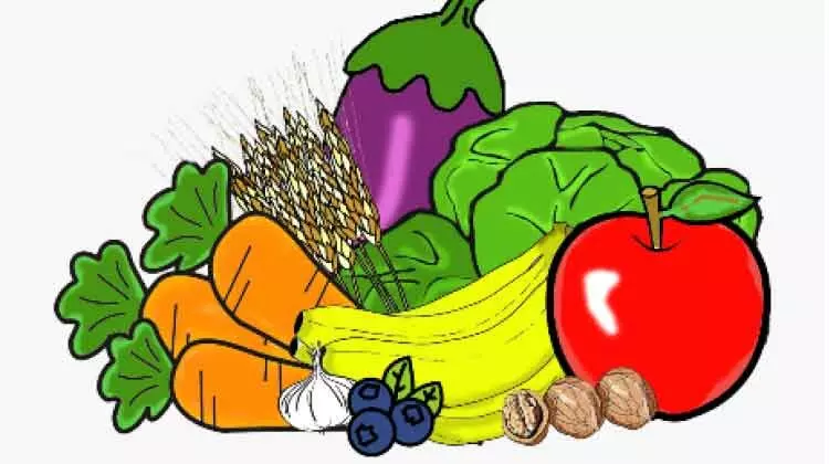 ശൈത്യകാല പച്ചക്കറി കൃഷിക്ക്️ തയാറെടു️ത്ത്️ ഫാമു️കൾ