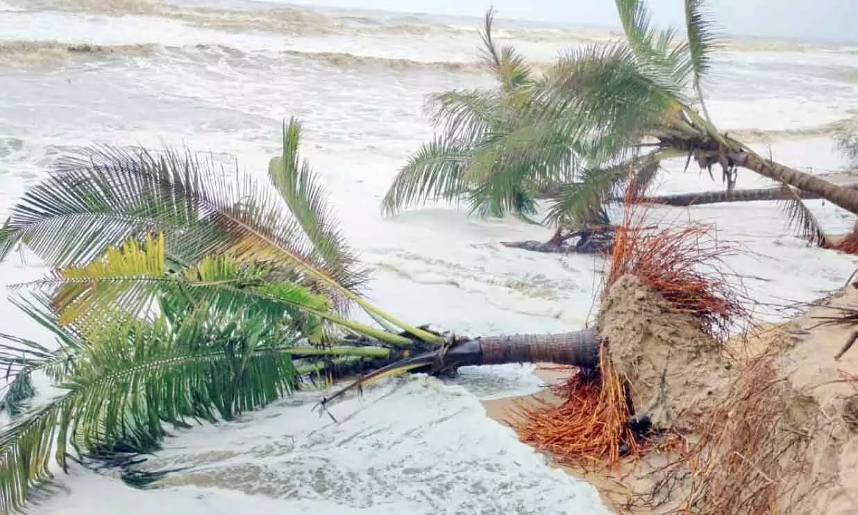 കായൽ മണലൂറ്റ്​; വലിയപറമ്പ തീരം കടൽ കവരുന്നു