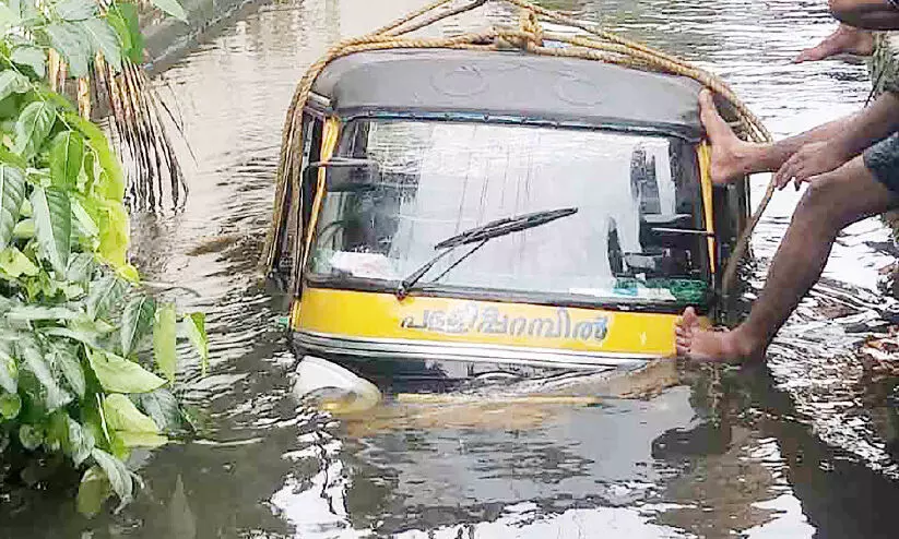 ഓ​ട്ടോ തോട്ടിൽ വീണു