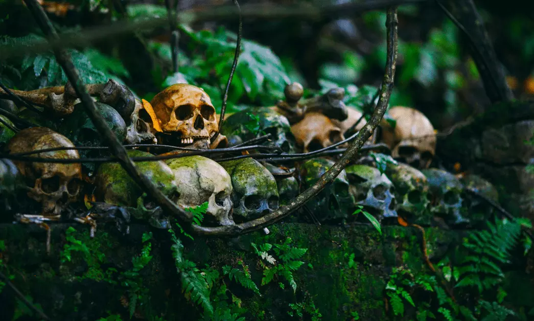 മന്ത്രവാദികളുടെ നാട്ടില് മന്ത്രവാദികളുടെ നാട്ടില്