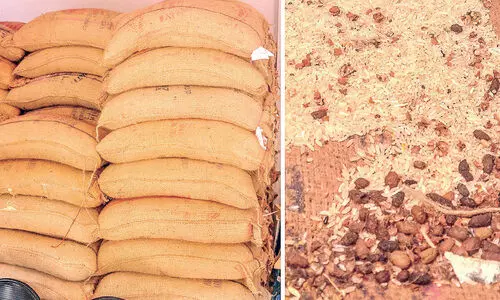 മ​ല​പ്പു​റത്ത്​ സിവില്‍ സപ്ലൈസ് വകുപ്പ് നൽകിയ അരിയും കടലയും പുഴുവരിച്ച് നശിക്കുന്നു