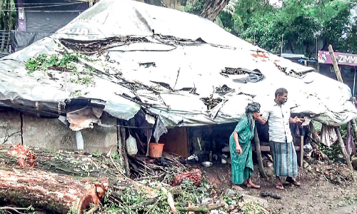 മ​ര​ണ​ഭീ​തി വി​രി​ച്ച്​ കൂ​റ്റ​ൻ മ​രം; ഫാ​ത്തി​മ വീ​ടു​പേ​ക്ഷി​ച്ച്​ ക​ട​ത്തി​ണ്ണ​യി​ൽ