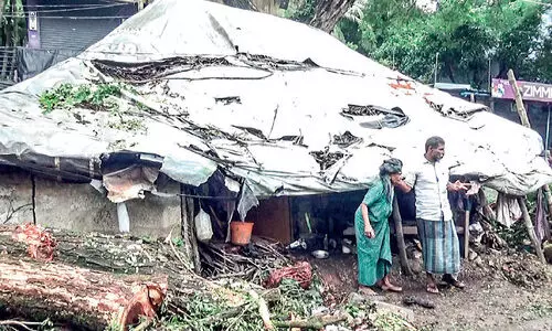 മ​ര​ണ​ഭീ​തി വി​രി​ച്ച്​ കൂ​റ്റ​ൻ മ​രം; ഫാ​ത്തി​മ വീ​ടു​പേ​ക്ഷി​ച്ച്​ ക​ട​ത്തി​ണ്ണ​യി​ൽ