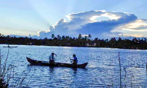 വിനോദ സഞ്ചാരികളെ... നിങ്ങളെ കാത്ത് കാക്കത്തുരുത്ത്​ ഇവിടെയുണ്ടാകും