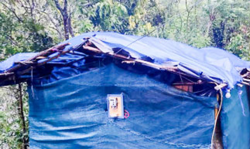 പടുതയാണ്​ മേൽക്കൂര, കൂരയിലാണ്​ ജീവിതം; വീടെന്ന സ്വപ്​നവുമായി നിരവധി കുടുംബങ്ങൾ