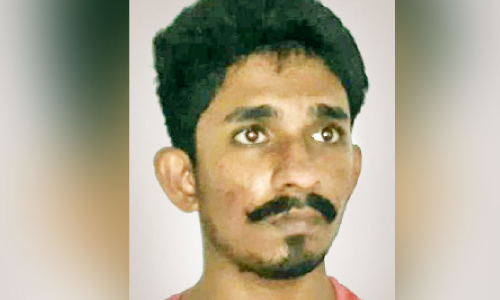 ആൻമേരിയുടെ മരണം കൊലപാതകം; സഹോദരൻ ആൽബിൻ അറസ്​റ്റിൽ