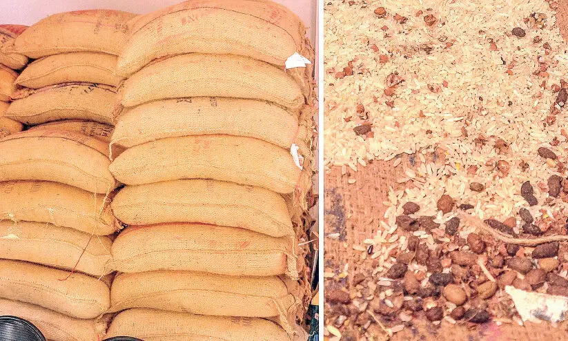 മ​ല​പ്പു​റത്ത്​ സിവില്‍ സപ്ലൈസ് വകുപ്പ് നൽകിയ അരിയും കടലയും പുഴുവരിച്ച് നശിക്കുന്നു