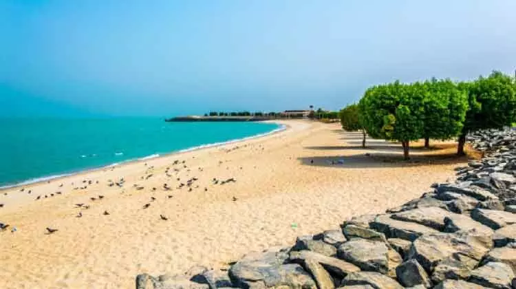 ബീ​ച്ച്​ പ്ര​വേ​ശ​ന​ത്തി​ന്​ ഫീ​സ്​ മു​നി​സി​പ്പ​ൽ കൗ​ൺ​സി​ലി​ൽ ഭി​ന്നാ​ഭി​പ്രാ​യം