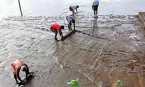 മ​ജീ​ദി​െൻറ ക​ര​ങ്ങ​ളി​ൽ ചൊ​വ്വ​ര ക​ട​വ്​ ക്ലീ​ൻ