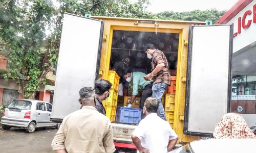 കോവിഡ് നിയന്ത്രണം ലംഘിച്ച് രാത്രി മത്സ്യവ്യാപാരം;  തൊടുപുഴയിൽ അഞ്ച് ലോറി പിടിച്ചെടുത്തു