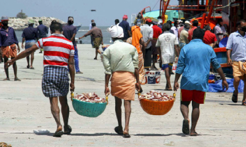 മത്സ്യവുമായി ബോട്ടുകളെത്തി; നിയന്ത്രണങ്ങളിൽ അതൃപ്തി