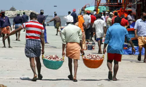 മത്സ്യവുമായി ബോട്ടുകളെത്തി; നിയന്ത്രണങ്ങളിൽ അതൃപ്തി