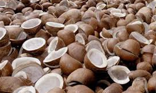 കൊപ്ര വ്യാപാര സ്​ഥാപനത്തിൽ എട്ടുകോടിയുടെ അനധികൃത വിൽപന; അരക്കോടി പിഴ ഈടാക്കി