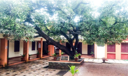 ഇവിടെയുണ്ട്​ ഗാന്ധിജി നട്ട മാവ്​