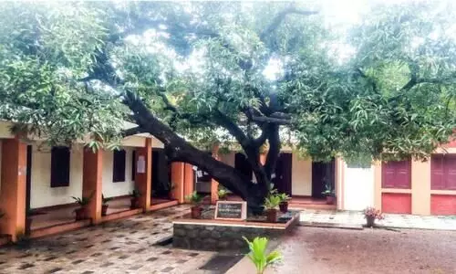 ഇവിടെയുണ്ട്​ ഗാന്ധിജി നട്ട മാവ്​