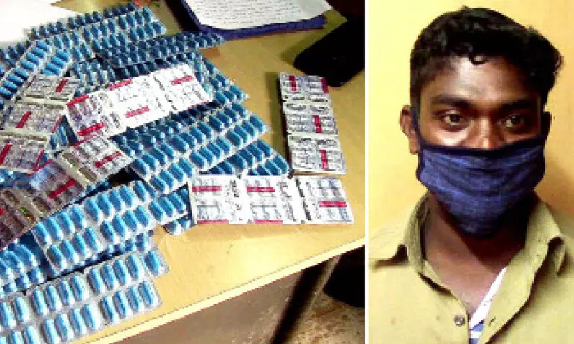 ആര്യങ്കാവിൽ മയക്കുഗുളികകൾ പിടികൂടി