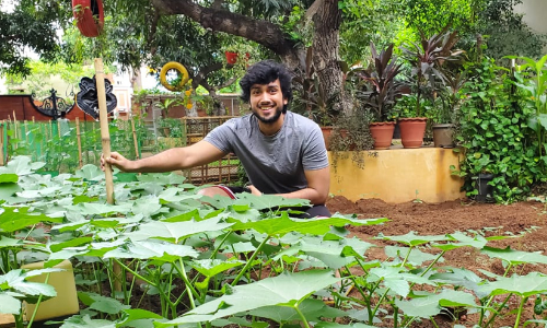 ജയറാമി​െൻറ തിരക്കഥയിൽ കാളിദാസ​െൻറ ജൈവകൃഷി; ഓണത്തിന്​ റിലീസ്​