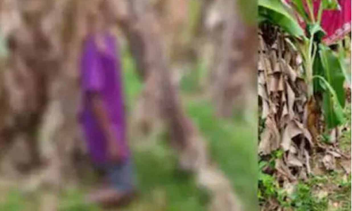 വിദ്യാർഥി വാഴക്കൈയിൽ തൂങ്ങിമരിച്ച നിലയിൽ കണ്ടെത്തിയ സംഭവം:   റിപ്പോർട്ട് സമർപ്പിച്ചു