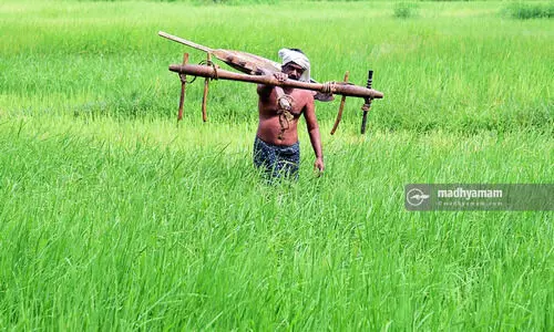 സ​മൃ​ദ്ധി​...