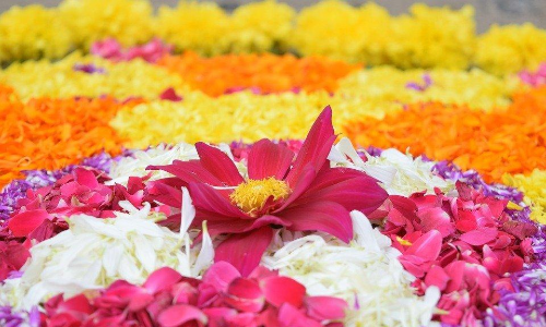 നിയന്ത്രണം പാലിച്ച്​ ഓണാഘോഷം;​ ക്രമീകരണത്തിന്​ നിർദേശം