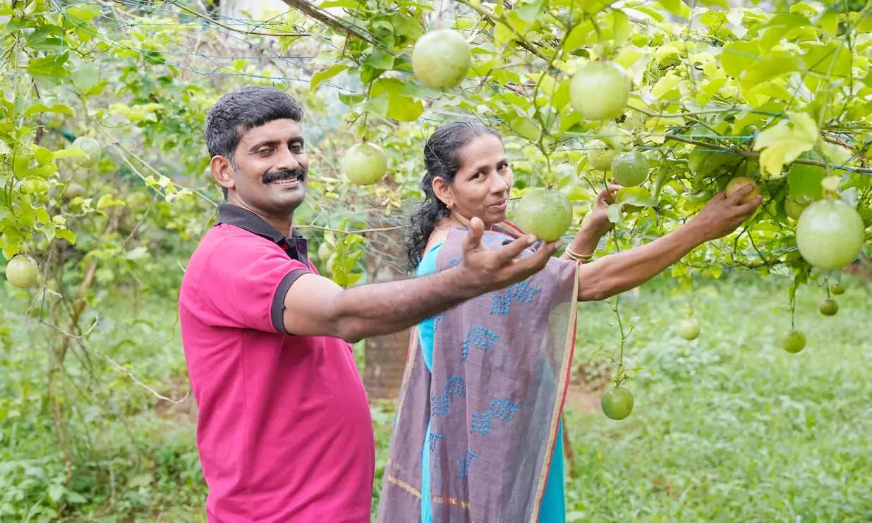 കൃഷിയിലും മികവുതെളിയിച്ച് അധ്യാപക ദമ്പതികൾ