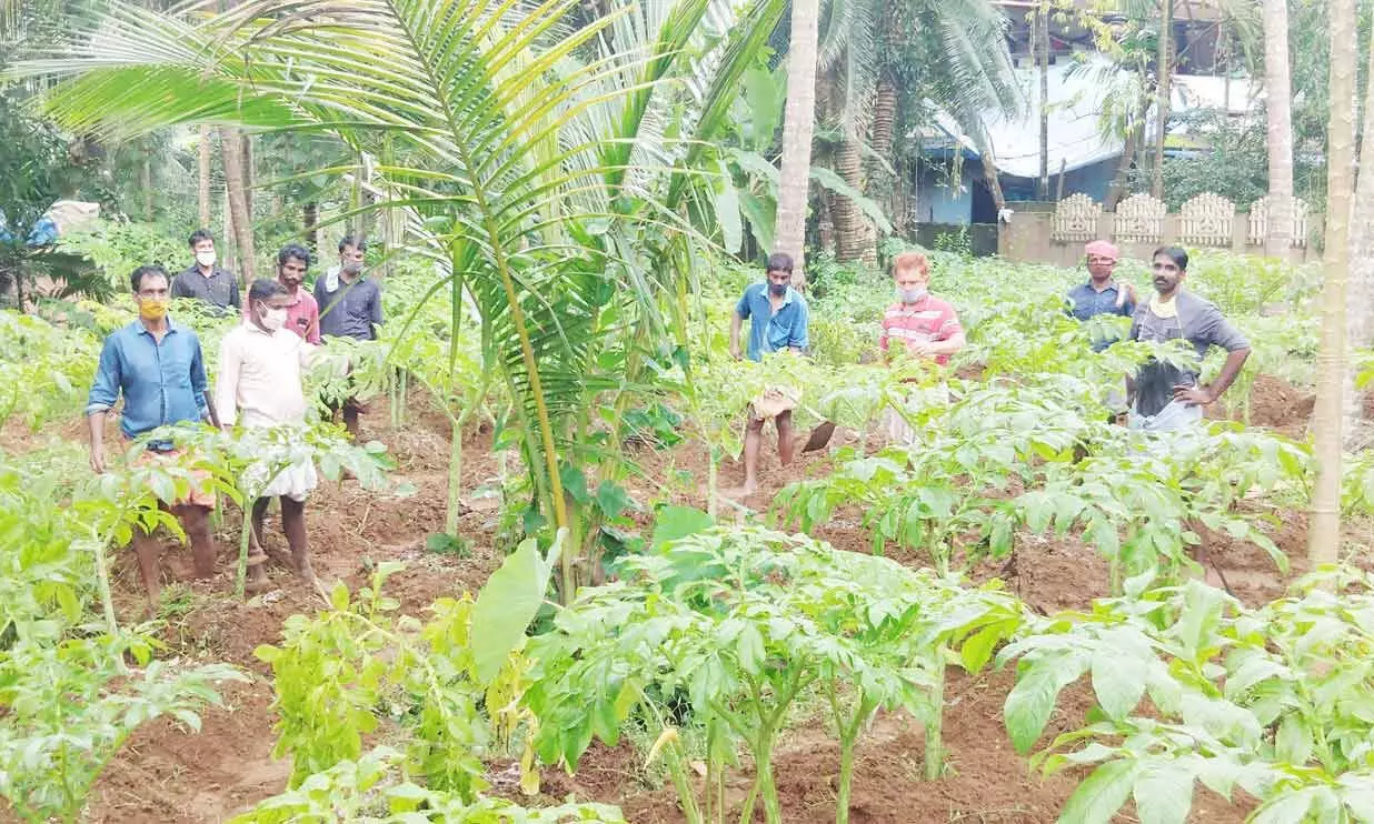 ഇവരുടെ അധ്വാനം ലാഭത്തിനല്ല; കാരുണ്യത്തിന്