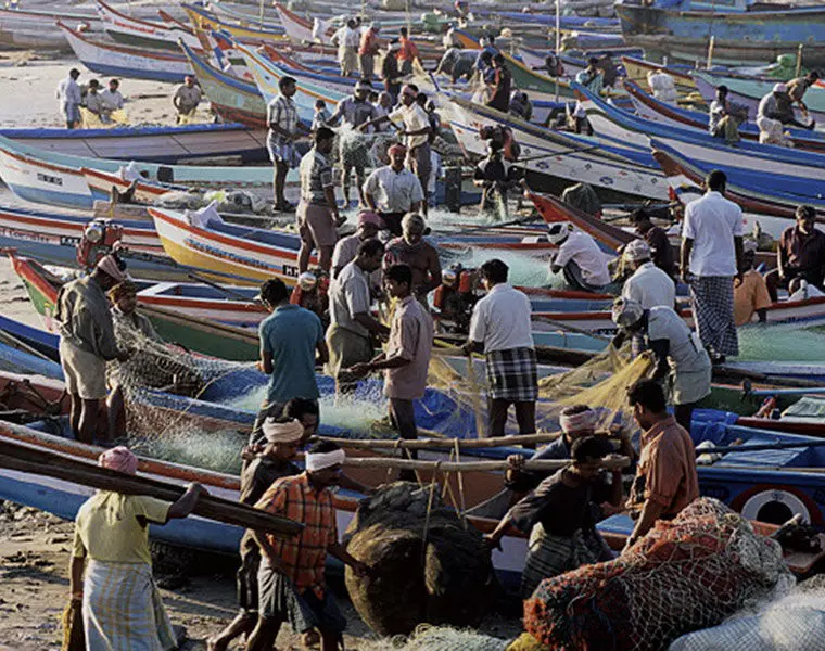 പ്രതിസന്ധിയിലും നേട്ടം; കയറ്റിയയച്ചത്​ 12.89 ലക്ഷം ടൺ സമുദ്രോൽപന്നം