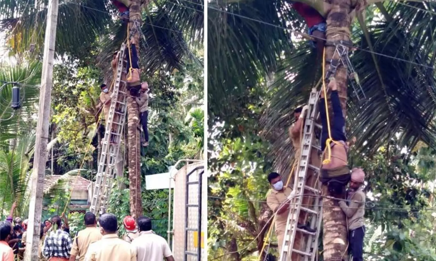 ഒരു മണിക്കൂറോളം തലകീഴായി തെങ്ങില്‍; യന്ത്രത്തിൽ കുടുങ്ങിയ തൊഴിലാളിയെ രക്ഷപ്പെടുത്തി